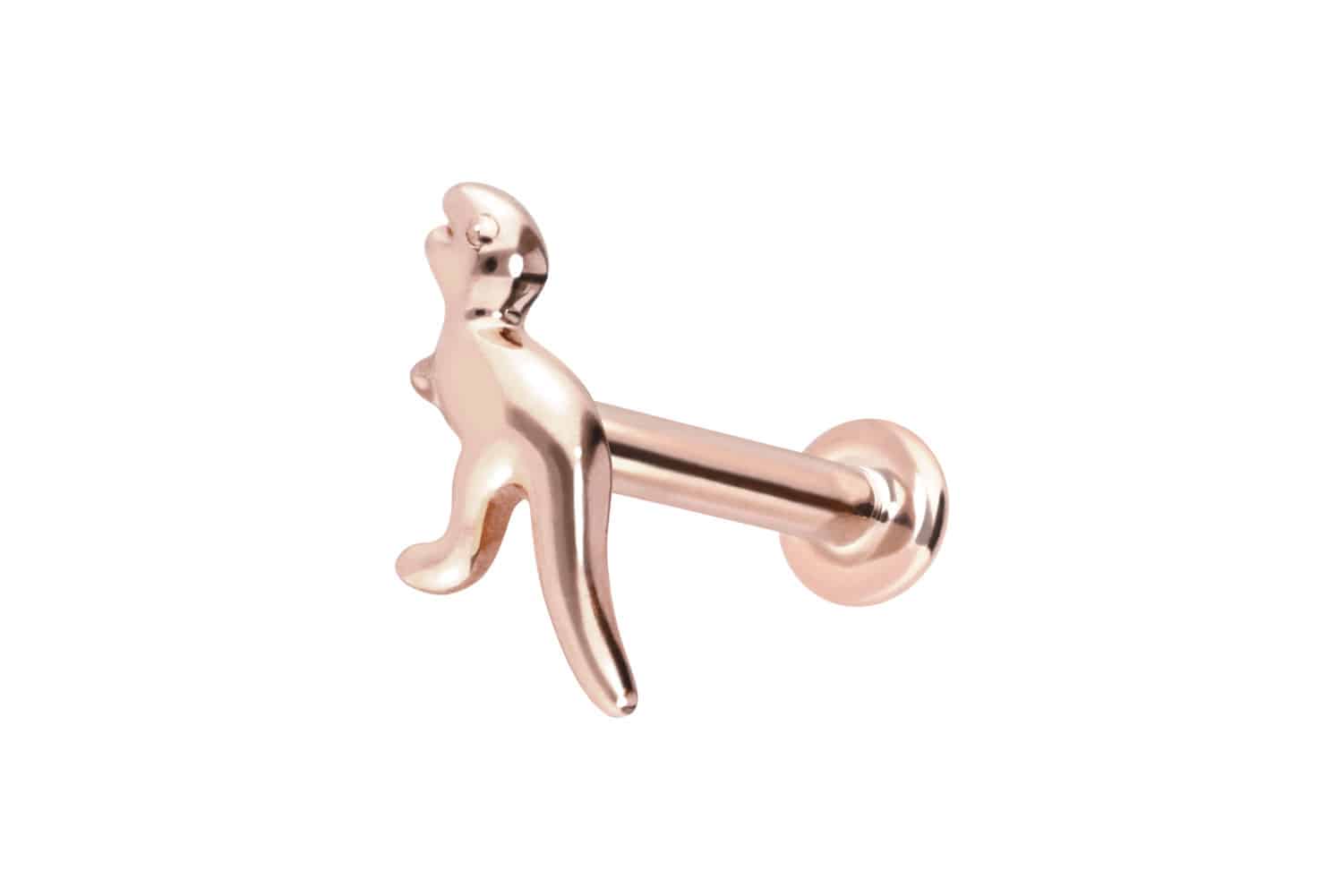 14 Karat Gold Labret Piercing mit Innengewinde DINOSAURIER